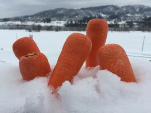 地域おこし協力隊