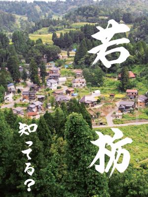 地域おこし協力隊