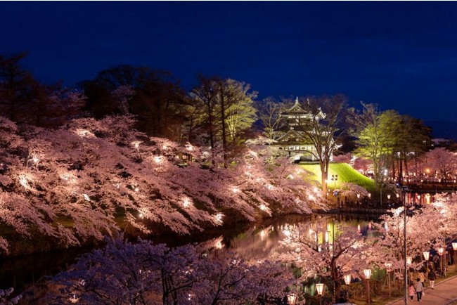 第97回高田城址公園観桜会