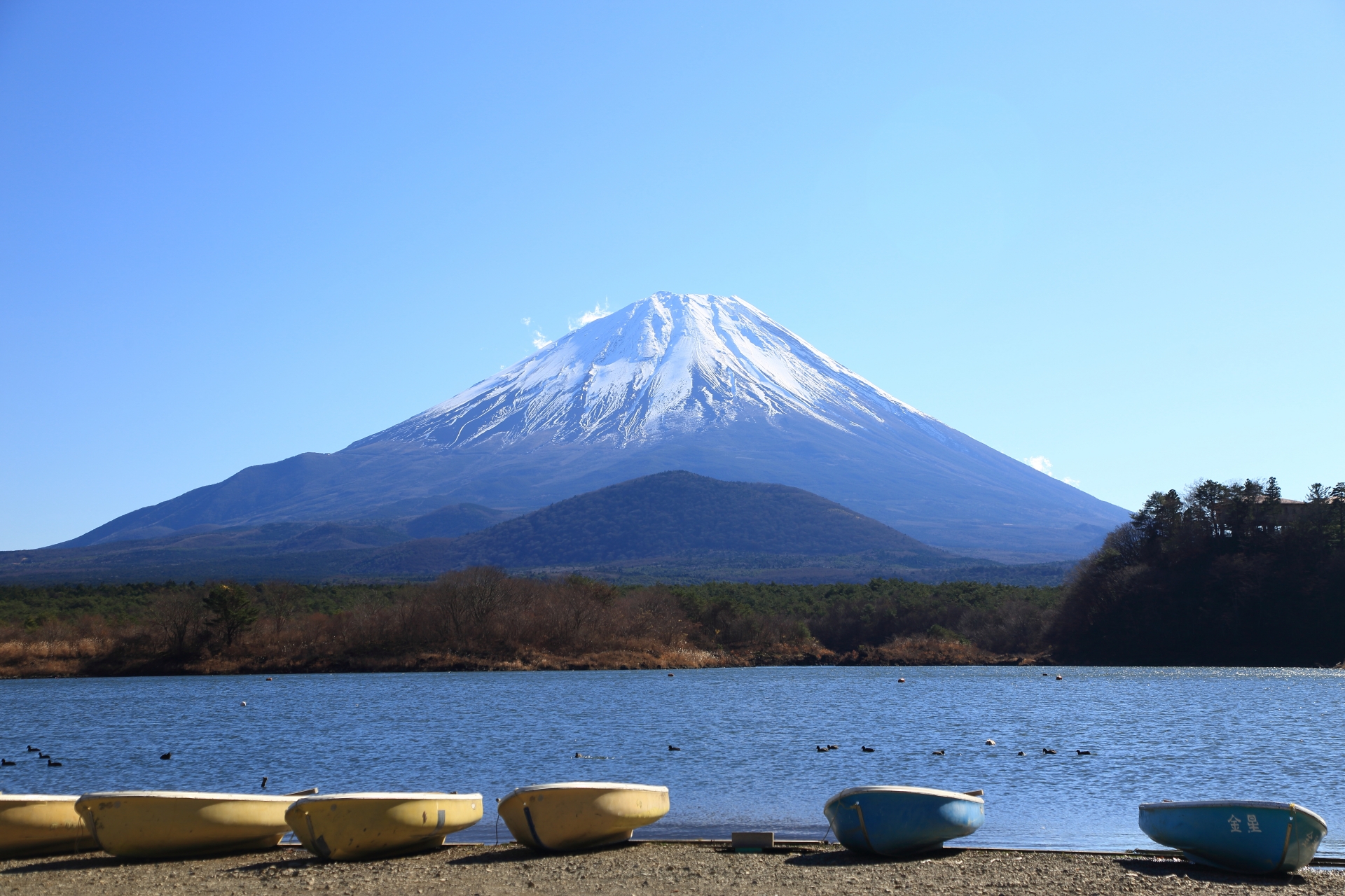山梨県