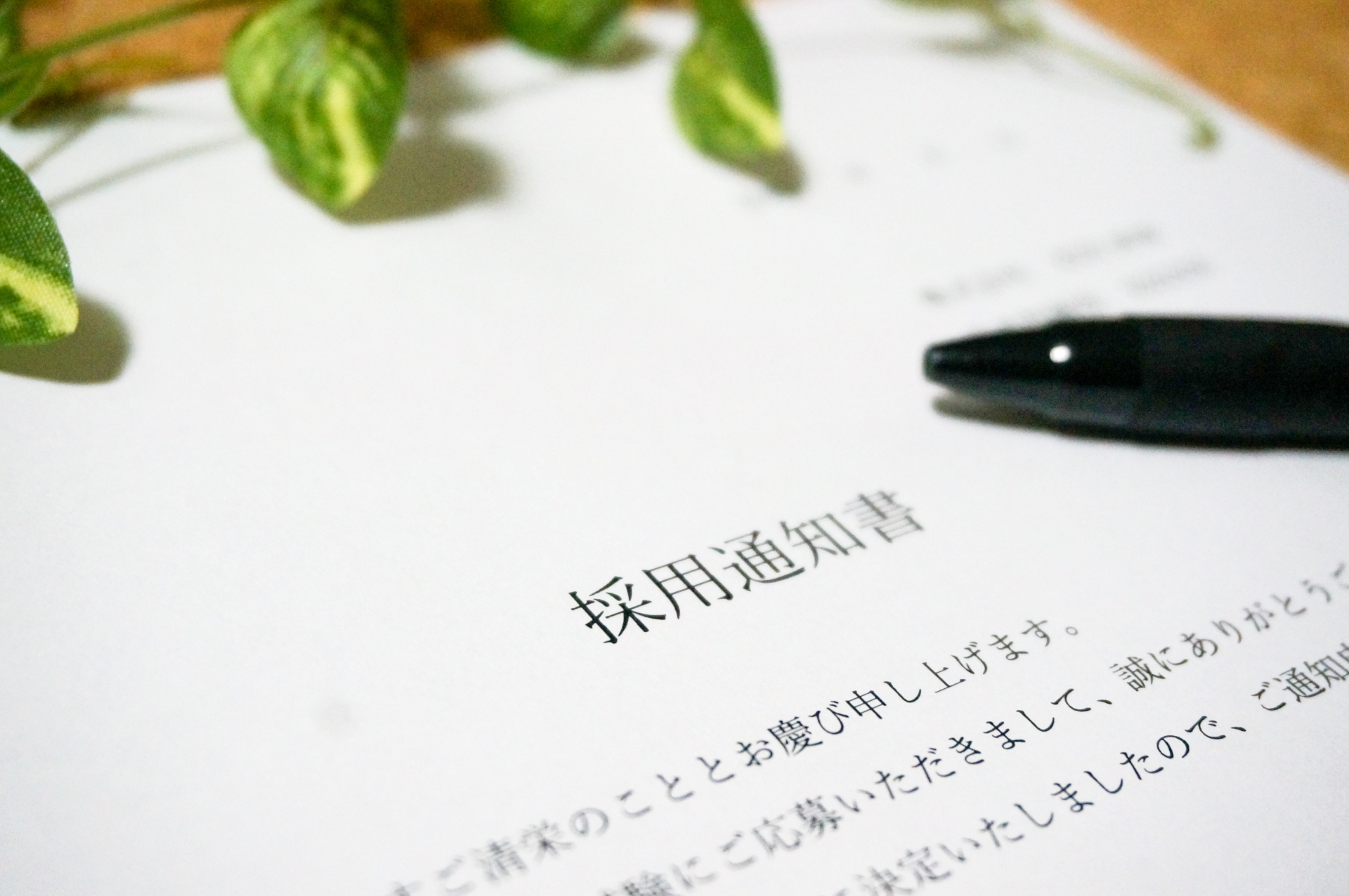 採用通知
